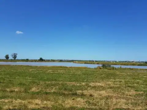 Terreno en Venta en Countries y Barrios Cerrados en Berazategui, USD 51.500