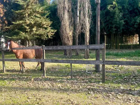 Campo en Venta en San Andres de Giles, Partido de San Andrés de Giles