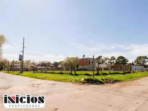 Calle 2 100