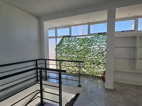 ALQUILER LOCAL COMERCIAL EN EL CENTRO