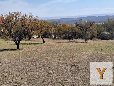 Terreno en venta - 2.000Mts2 - Córdoba