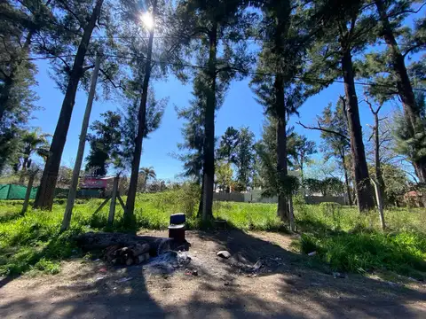 Lorenzo Caro y El Chacho