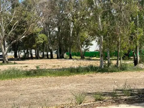 Terreno en Venta en Neuquén, USD 3.600.000