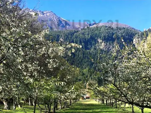 Campo en Venta de 7,56  ha