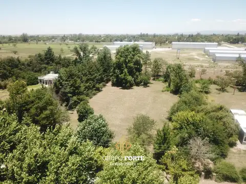 Campos Del Virrey