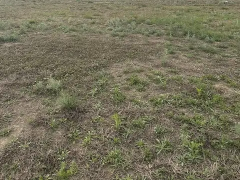 Terreno en Venta de 250,0 m2