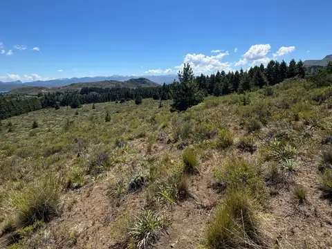Terreno en venta  a 15 km de Bariloche. 4 hta,  para Lotear