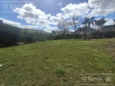 Terreno en Venta de 795,0 m2