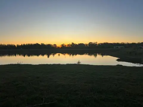 Terreno en Venta de 2334,0 m2