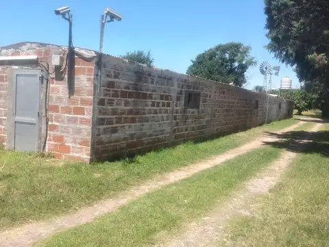 Falucho 331