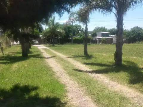 Falucho 331