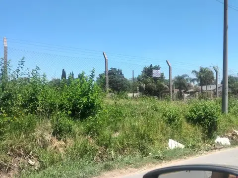 Falucho 300
