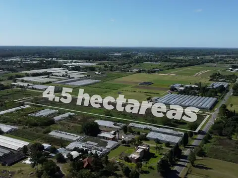 VENTA DE HECTAREAS EN CITY BELL