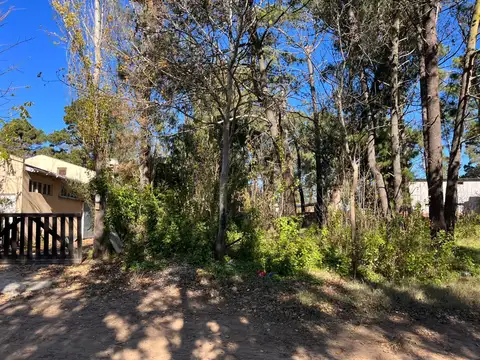 Madre Teresa de Calcuta