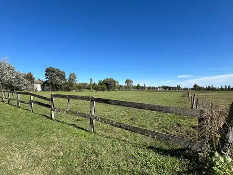 Terreno en Venta de 4980,0 m2