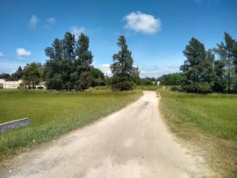 Terreno en Venta 43  mts Frente