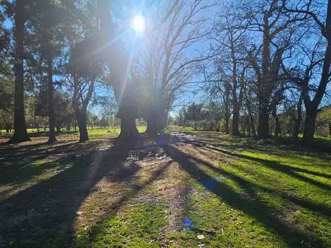 VENTA CAMPO 4,5 HECTAREAS EN SAN VICENTE FINANCIA