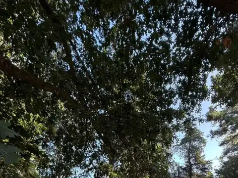 Terreno en Venta de 1720,0 m2