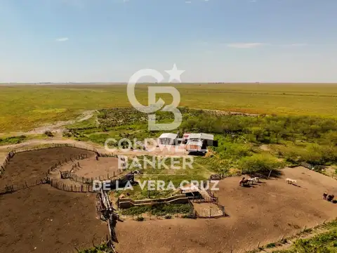 Campo Ganadero en Piamonte