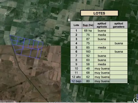Campo Ganadero en Piamonte