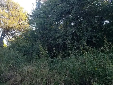 Terreno en Venta en Centro, USD 28.000