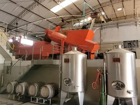 BODEGA VENTA EN FUNCIONAMIENTO SAN MARTIN MENDOZA