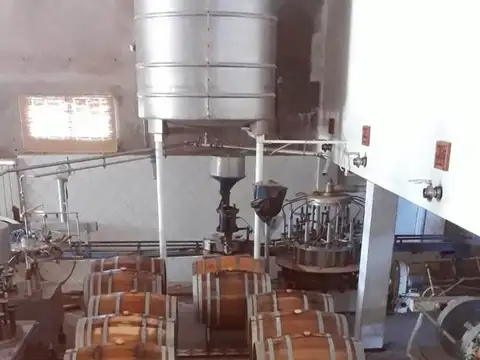 BODEGA VENTA EN FUNCIONAMIENTO SAN MARTIN MENDOZA