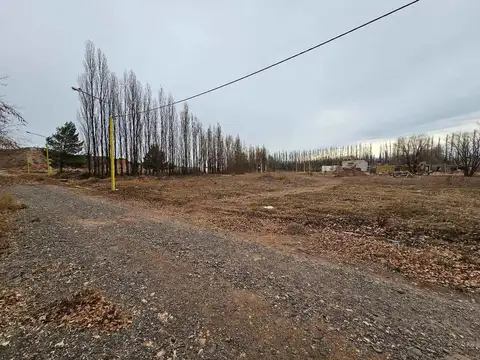 La Consuelo, Ruta 7 y Calle 4