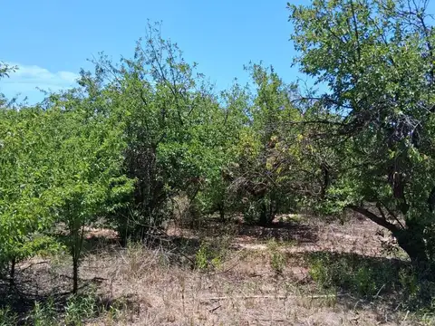 Terreno en Venta en Barrancas, USD 105.000