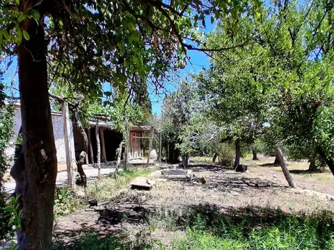 Terreno en Venta de 40000,0 m2