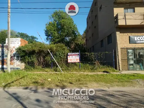 Terreno en Alquiler 10  mts Frente