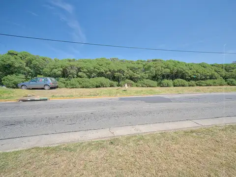 Terreno en Venta 43  mts Frente