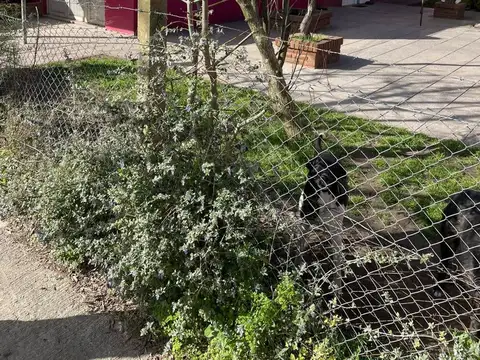 Casa en Venta al Suroeste