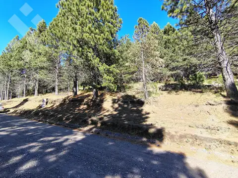 Terreno en Venta en San Martin de los Andes, Lácar