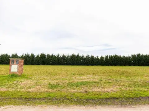 Terreno en Venta de 955,0 m2
