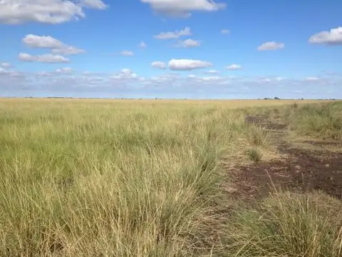 Campo en Venta Agricola Ganadero 9.026 has.