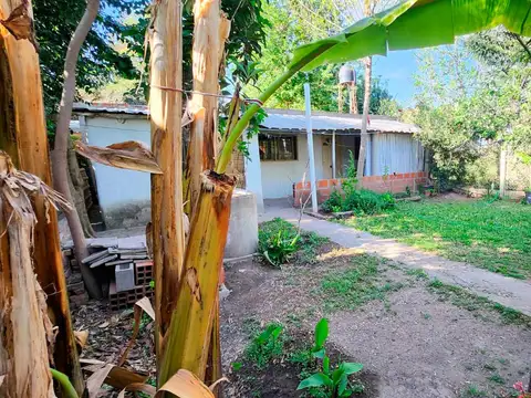 Ecuador al 300