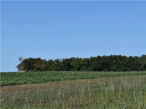 Campo 47 hs  para agricultura  en Madariaga  "El Saquito"