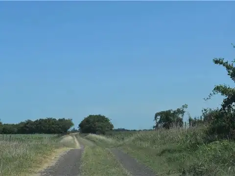 Campo 47 hs  para agricultura  en Madariaga  "El Saquito"