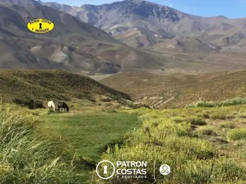 Ruta Provincial 200