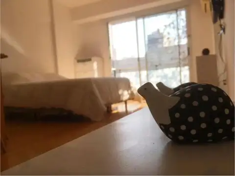 Departamento en Alquiler Temporal de Monoambiente