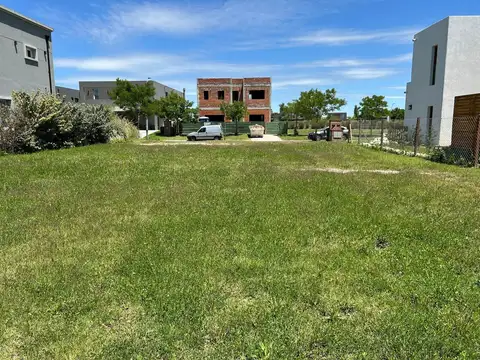 Araucarias - Puertos del Lago 100