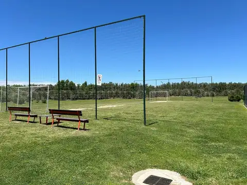 Araucarias - Puertos del Lago 100