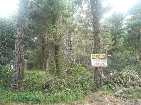 Terreno - Venta - Argentina, Mar de las Pampas