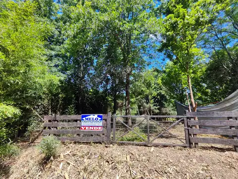 Carlos Keen 2 Has con 2 Casas Arboleda y Frutales