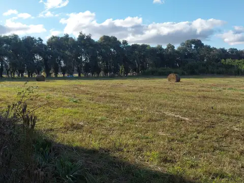 Campo en Venta de 2  ha