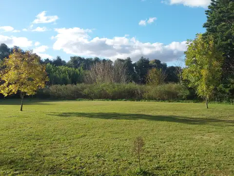 Carlos Keen 3 Has con 2 Casas Arboleda y Frutales