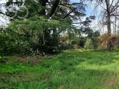 Terreno en Paso Del Rey
