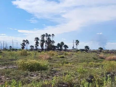 Ruta Nacional 40