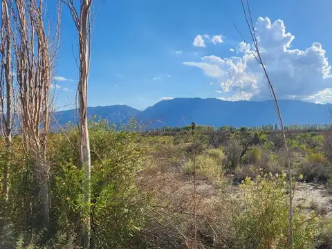 Terreno en Venta de 69336,0 m2